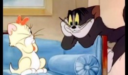 超萌爆料杰瑞请演员视频,打造全新喜剧盛宴